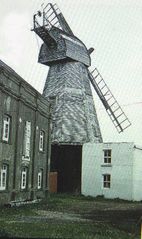 Silverhill-Windmill-Windmill-Road.-1905.